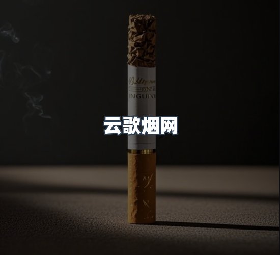关于云歌烟网